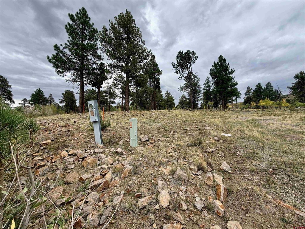 94 Rock Ridge Court South Fork CO 81154