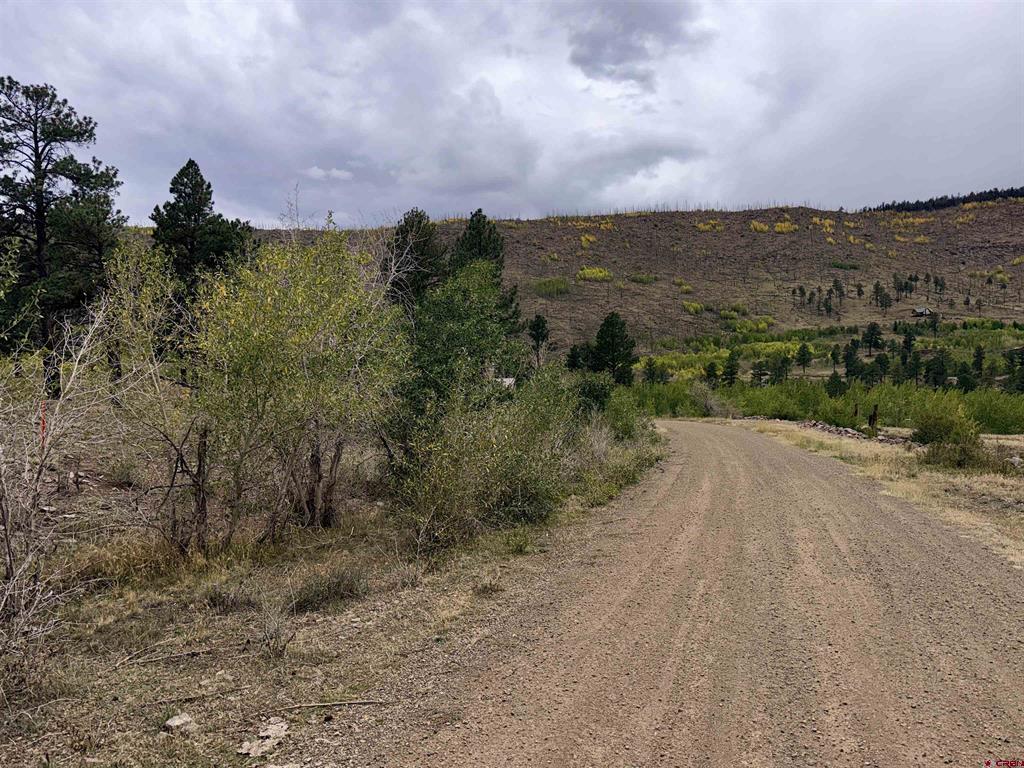 94 Rock Ridge Court South Fork CO 81154