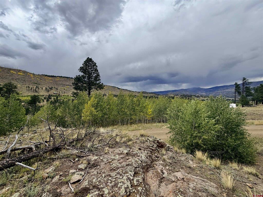 94 Rock Ridge Court South Fork CO 81154