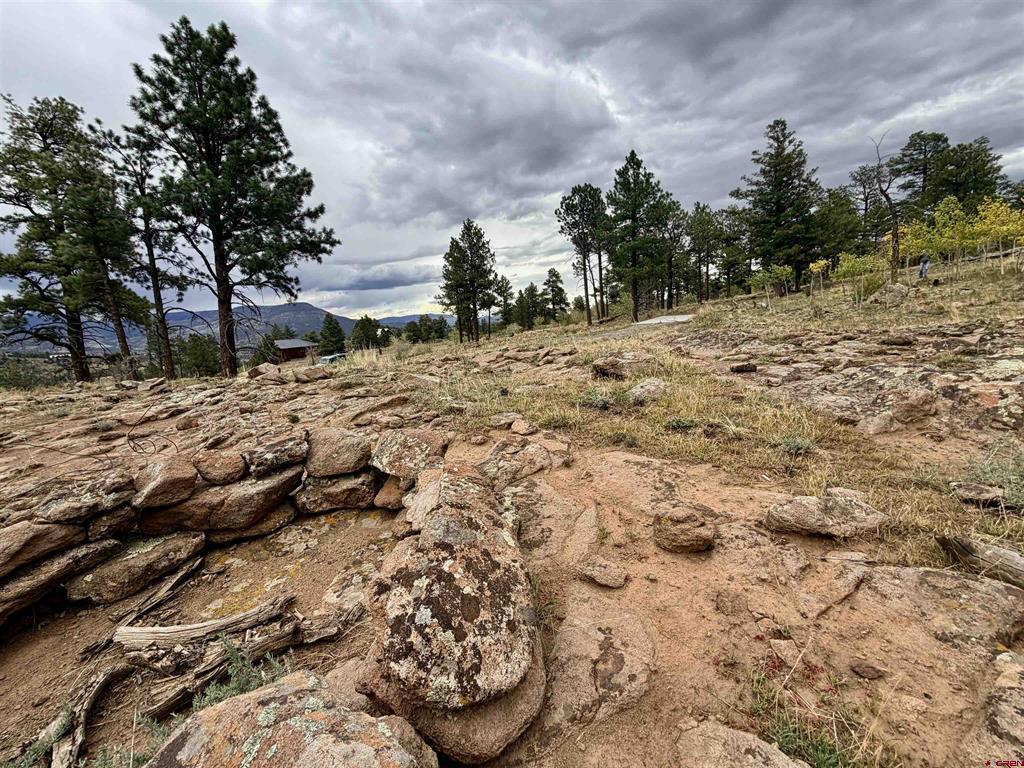94 Rock Ridge Court South Fork CO 81154