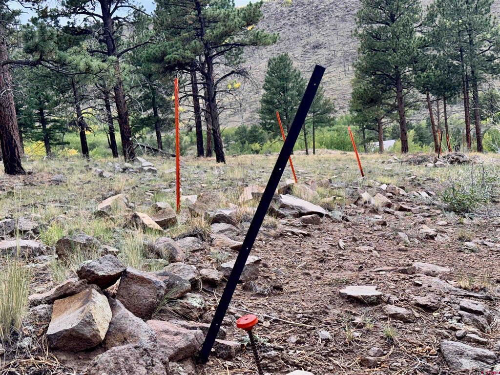 94 Rock Ridge Court South Fork CO 81154