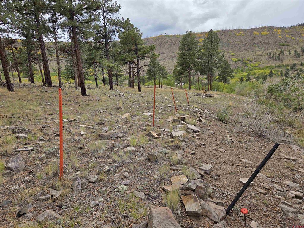94 Rock Ridge Court South Fork CO 81154