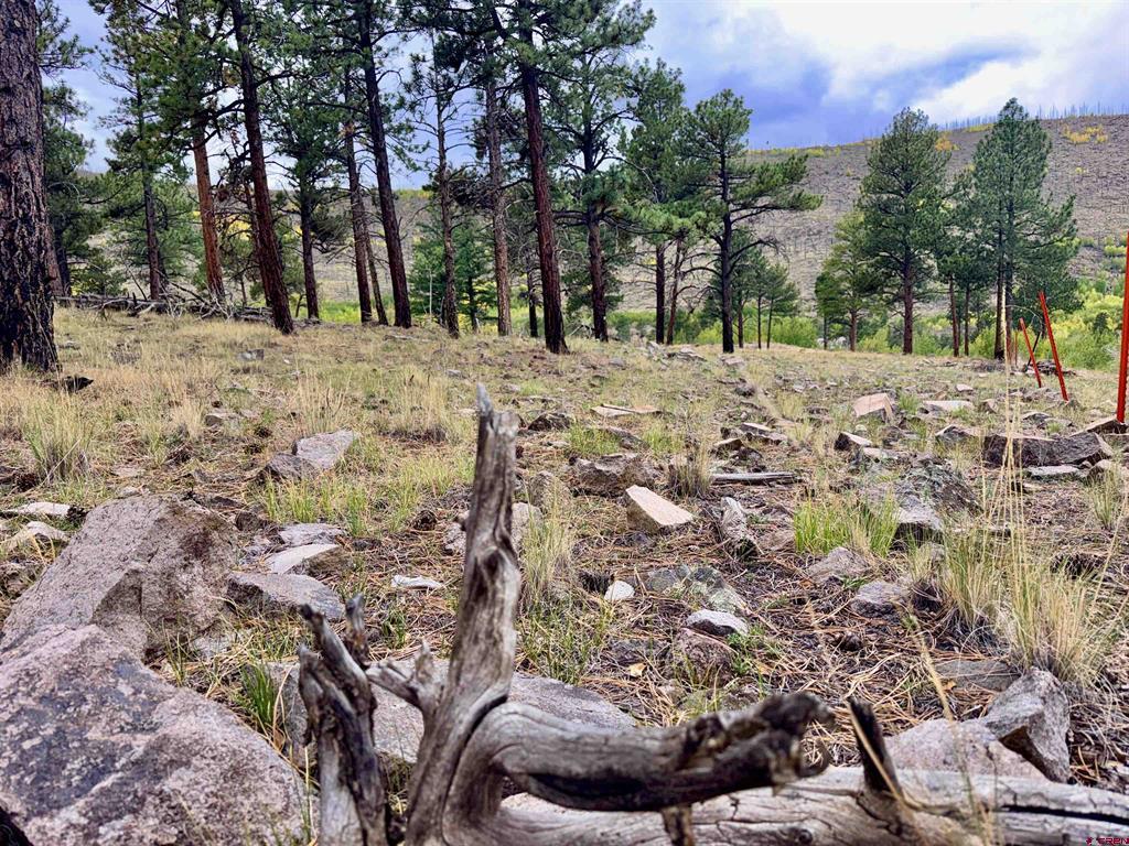 94 Rock Ridge Court South Fork CO 81154