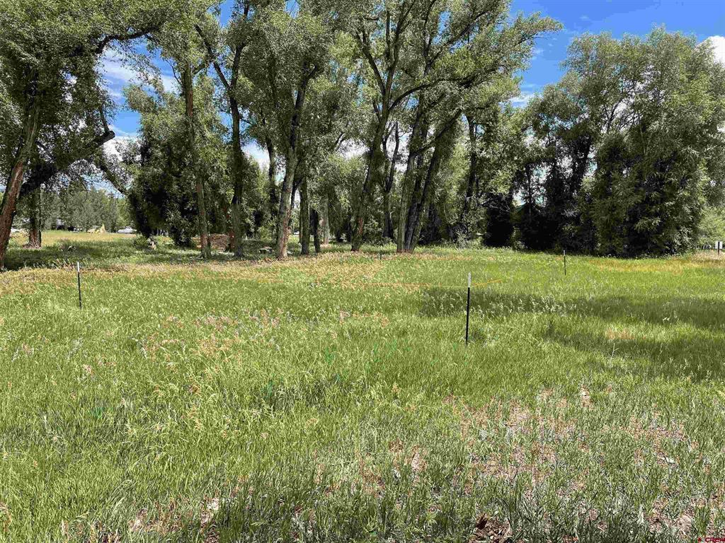 91 Apache Road Gunnison CO 81230