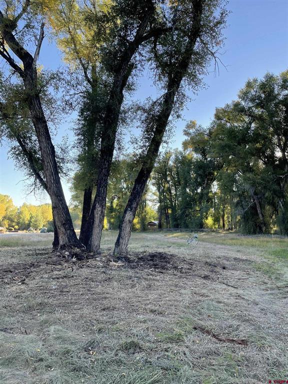 91 Apache Road Gunnison CO 81230