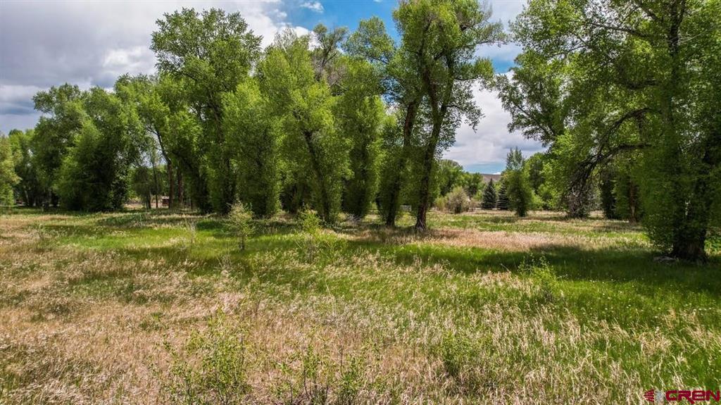 91 Apache Road Gunnison CO 81230