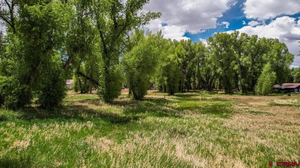 91 Apache Road Gunnison CO 81230