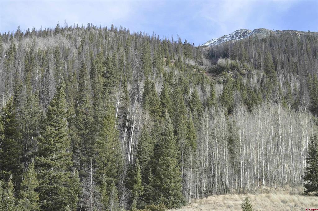Tbd Cr 2 Lupus Silverton CO 81433