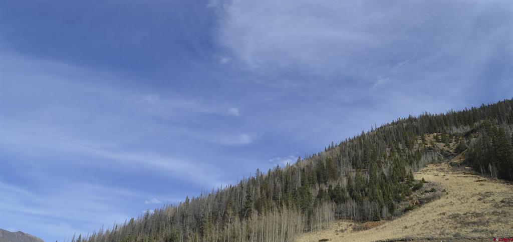 Tbd Cr 2 Lupus Silverton CO 81433