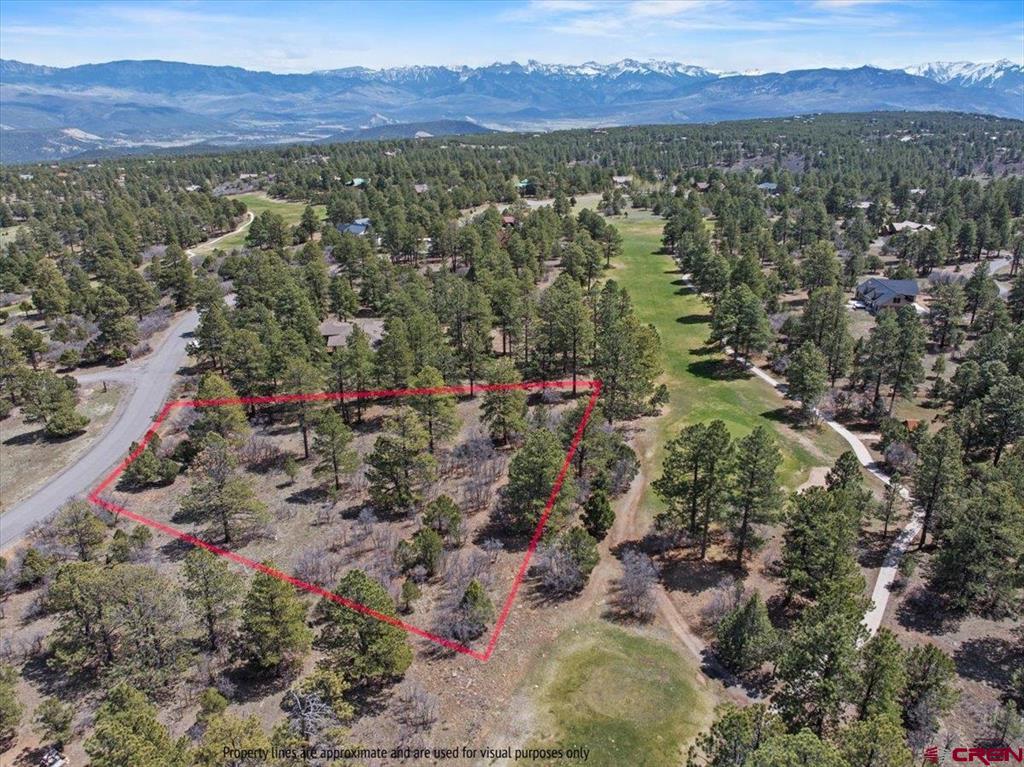 1325 Marmot Drive Ridgway CO 81432