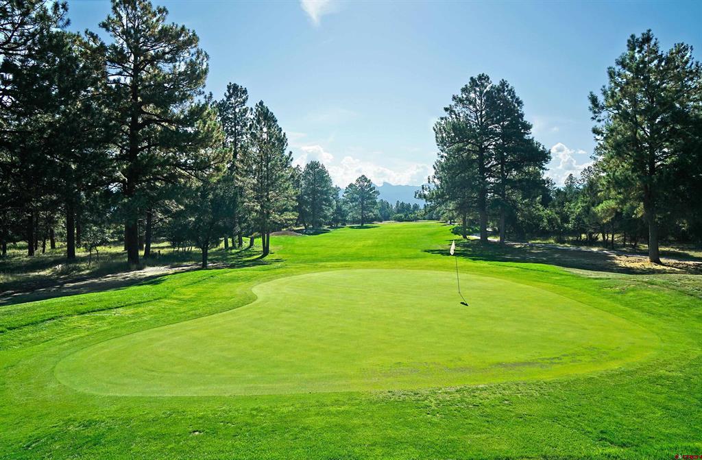 1325 Marmot Drive Ridgway CO 81432