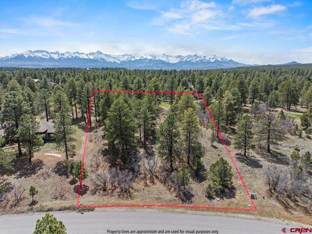 1325 Marmot Drive Ridgway CO 81432