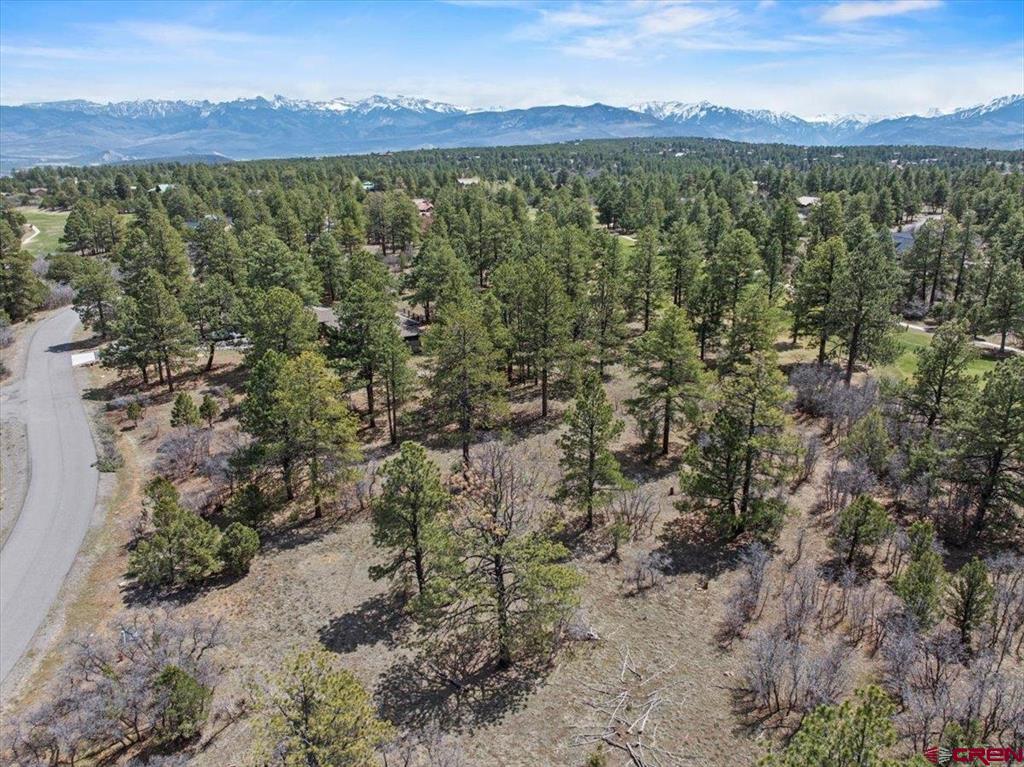 1325 Marmot Drive Ridgway CO 81432