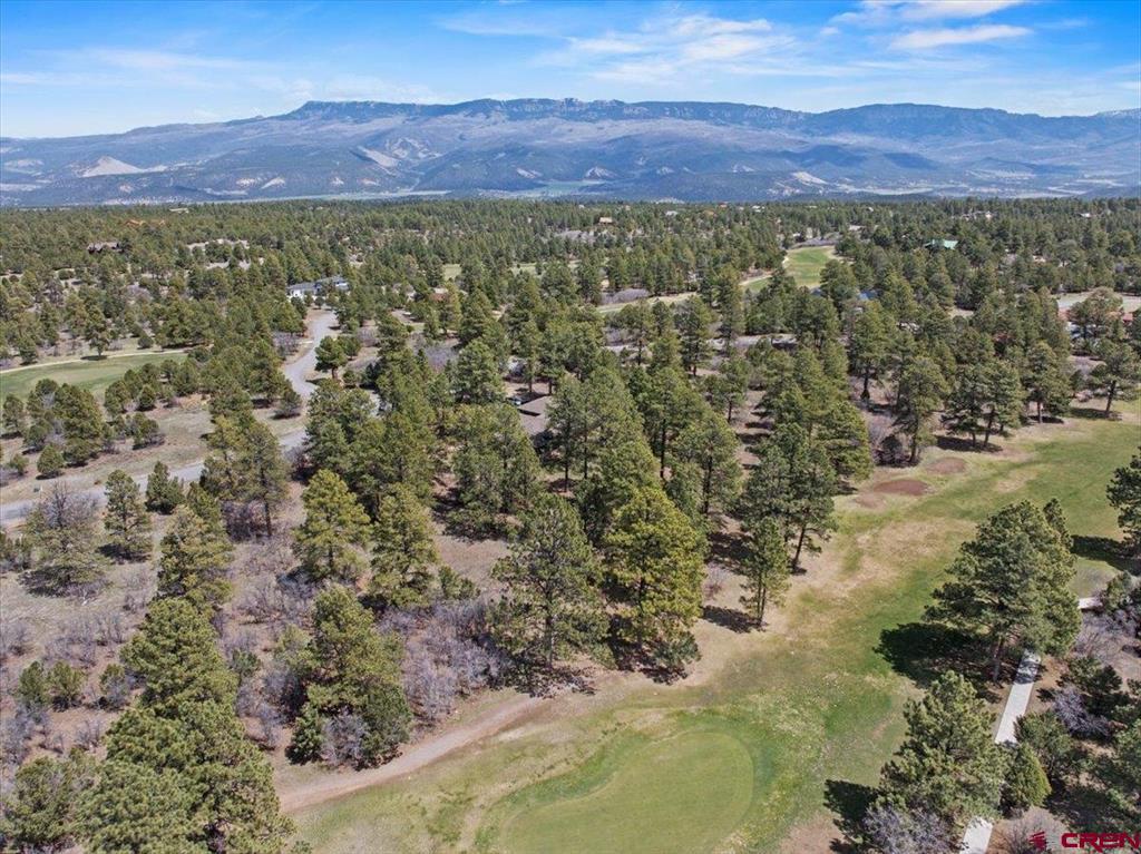 1325 Marmot Drive Ridgway CO 81432