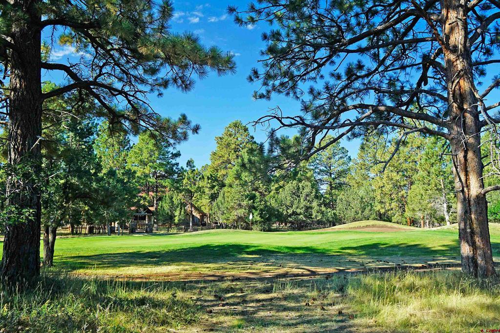 1325 Marmot Drive Ridgway CO 81432