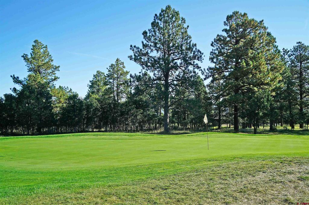 1325 Marmot Drive Ridgway CO 81432