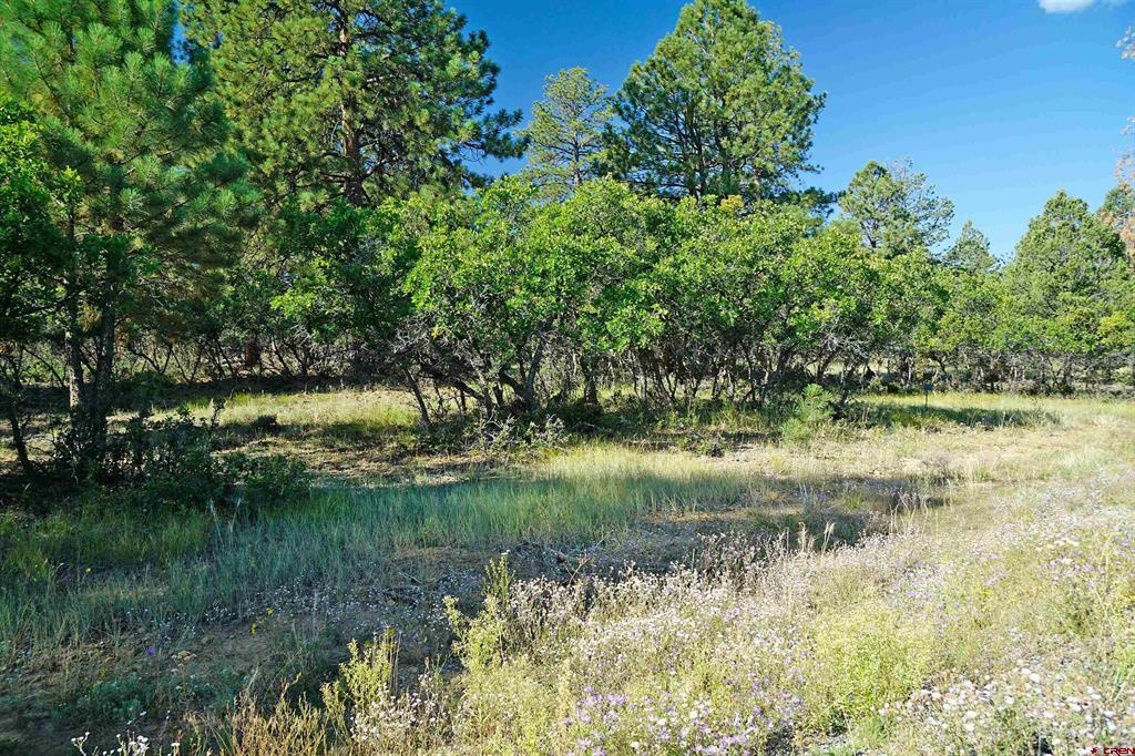 1325 Marmot Drive Ridgway CO 81432
