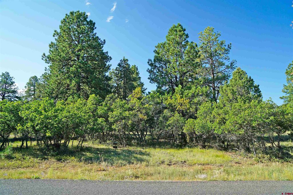 1325 Marmot Drive Ridgway CO 81432