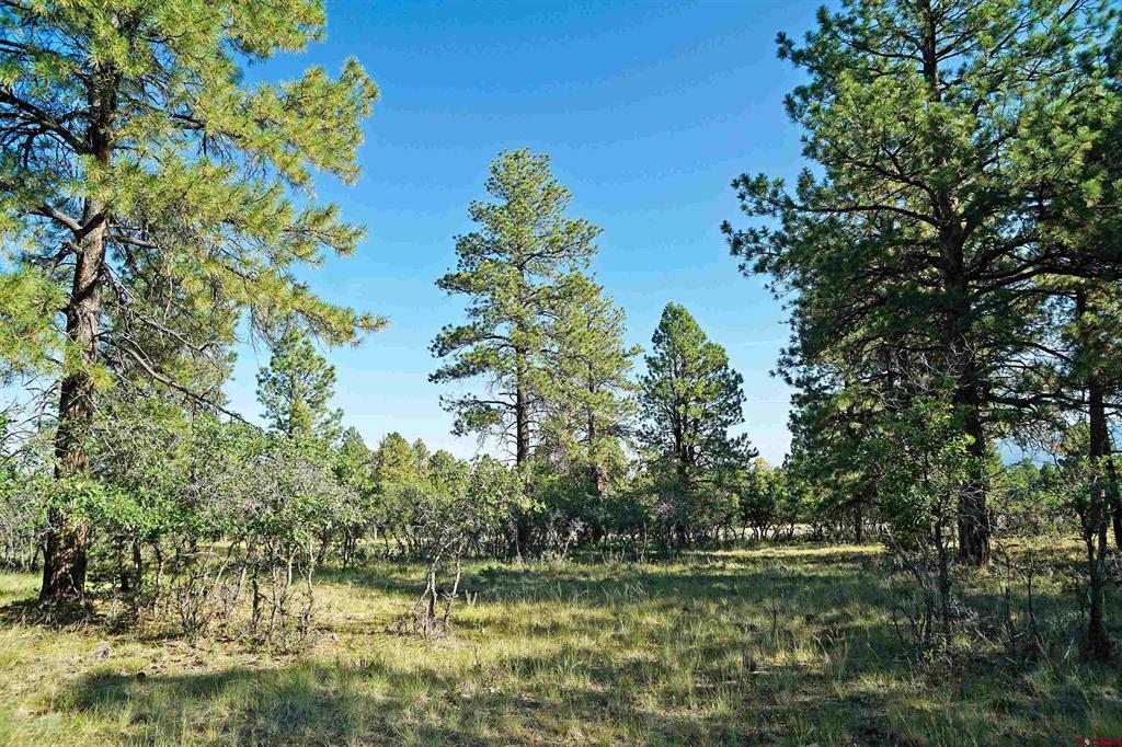 1325 Marmot Drive Ridgway CO 81432
