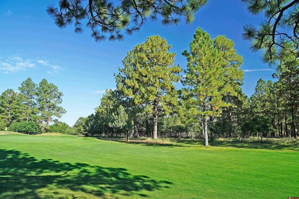 1325 Marmot Drive Ridgway CO 81432