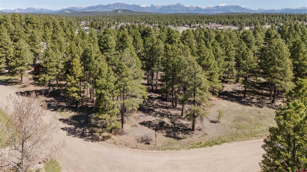 57 Martinez Place Pagosa Springs CO 81147