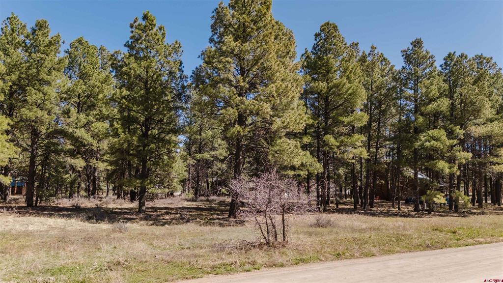 57 Martinez Place Pagosa Springs CO 81147