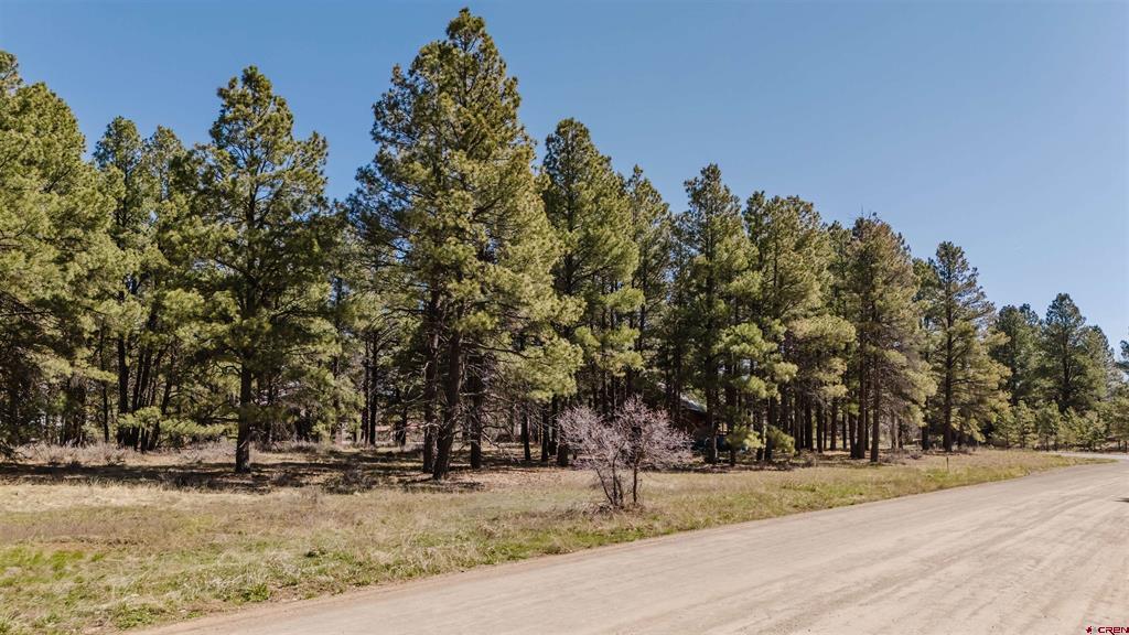 57 Martinez Place Pagosa Springs CO 81147