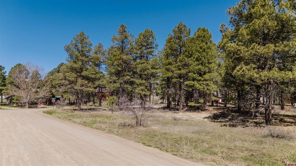 57 Martinez Place Pagosa Springs CO 81147