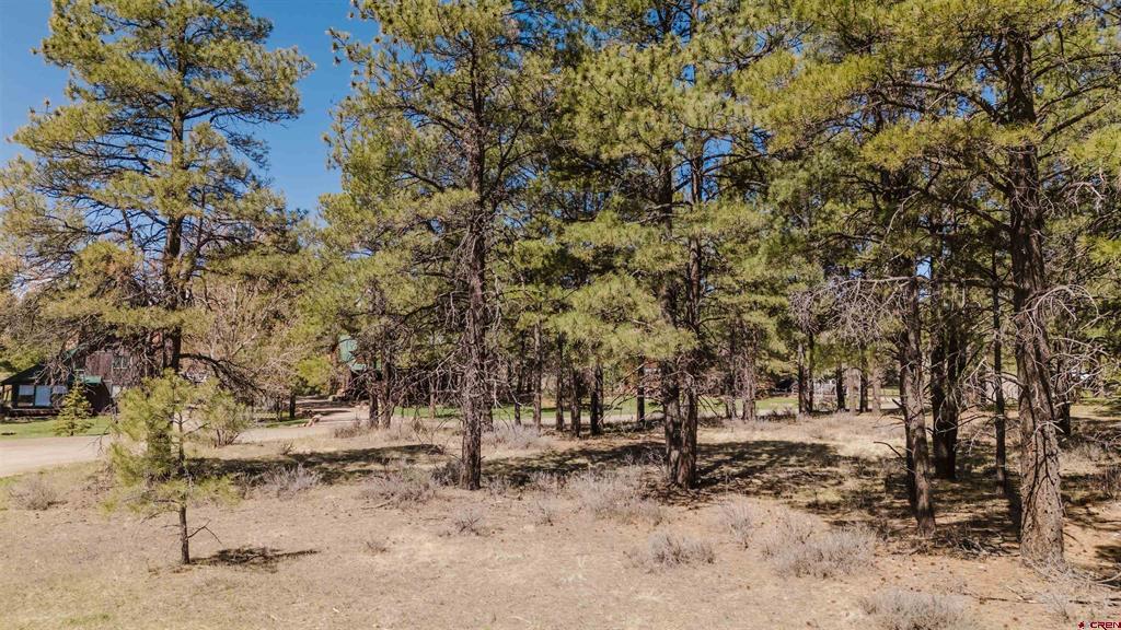 57 Martinez Place Pagosa Springs CO 81147
