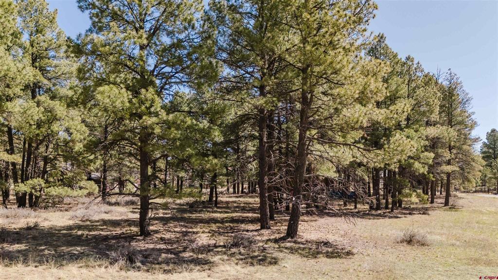 57 Martinez Place Pagosa Springs CO 81147