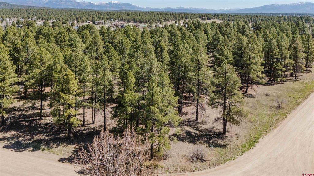 57 Martinez Place Pagosa Springs CO 81147