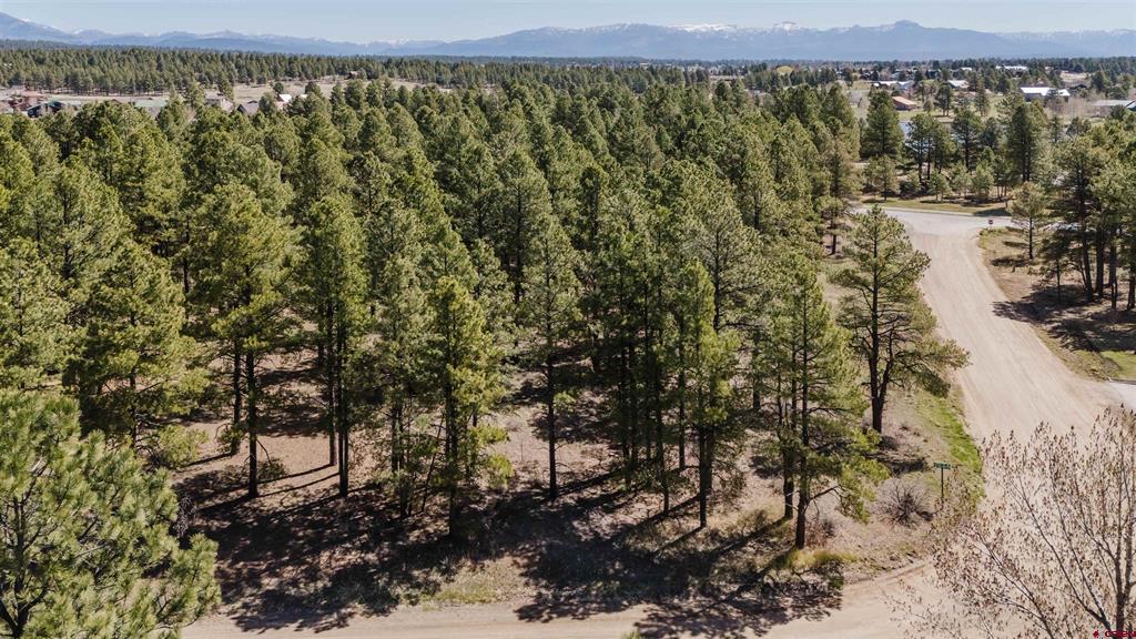 57 Martinez Place Pagosa Springs CO 81147