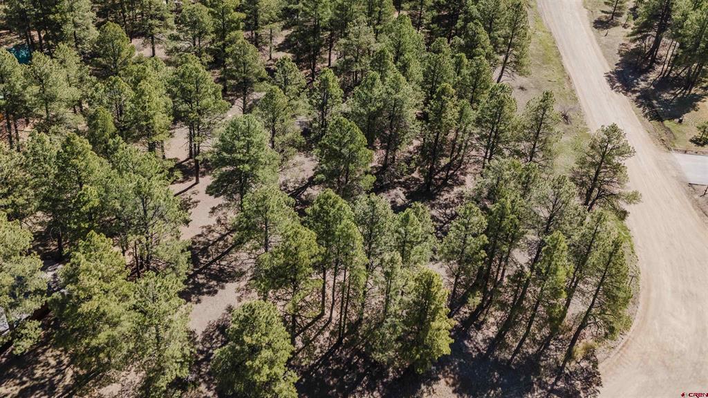 57 Martinez Place Pagosa Springs CO 81147