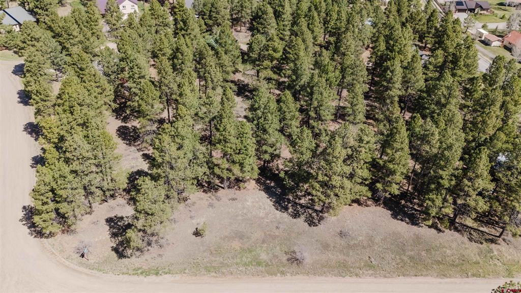 57 Martinez Place Pagosa Springs CO 81147
