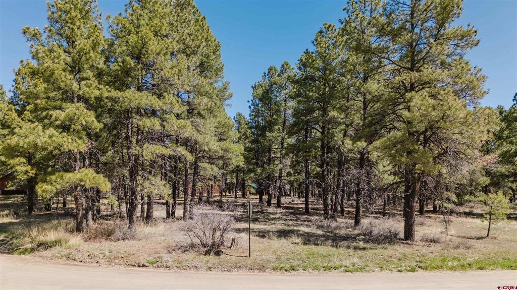 57 Martinez Place Pagosa Springs CO 81147