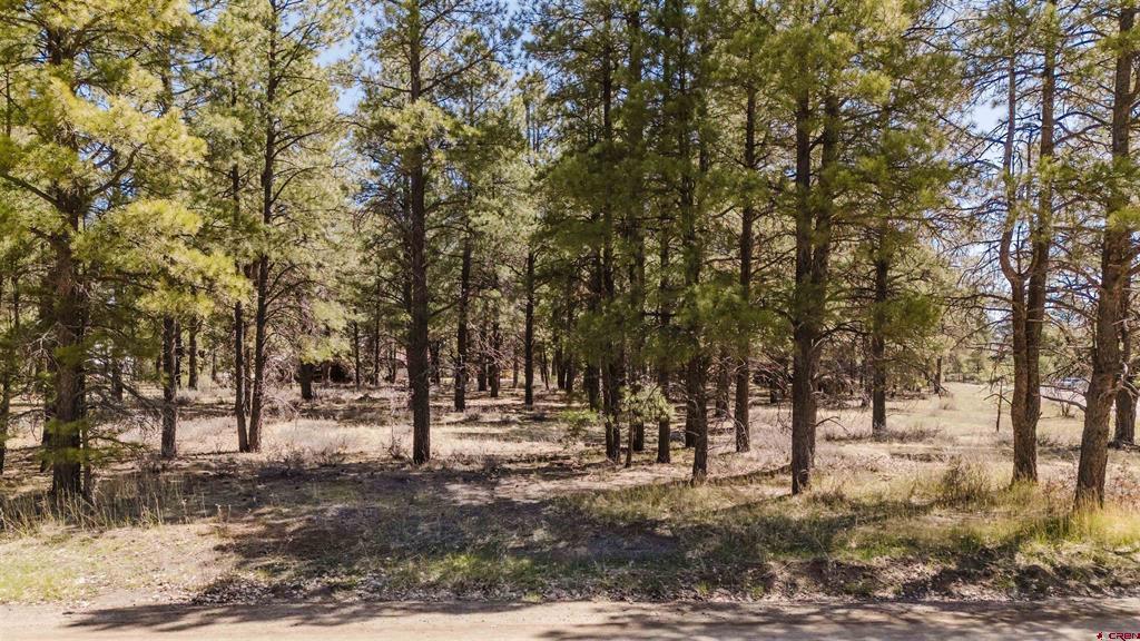 57 Martinez Place Pagosa Springs CO 81147
