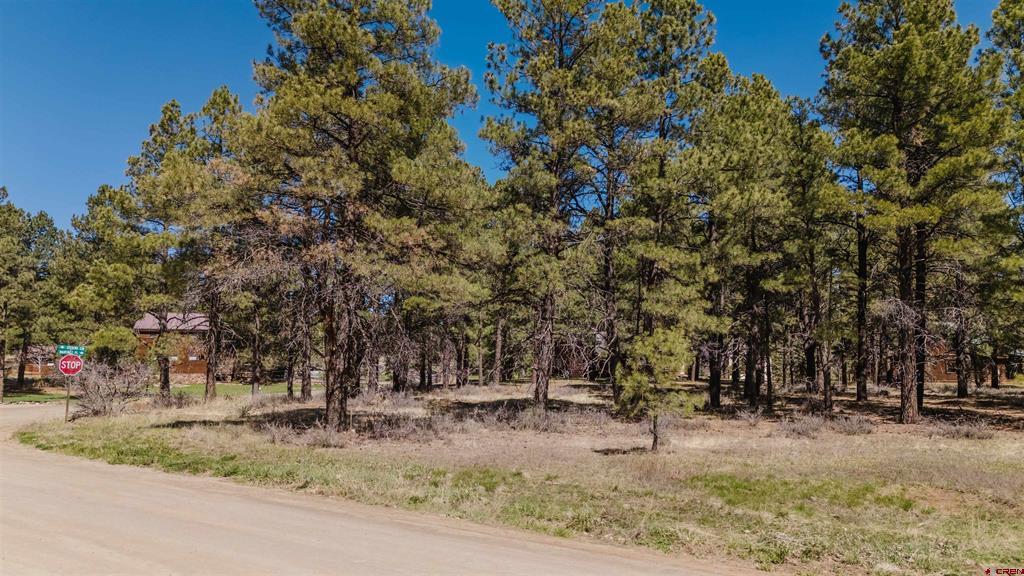 57 Martinez Place Pagosa Springs CO 81147