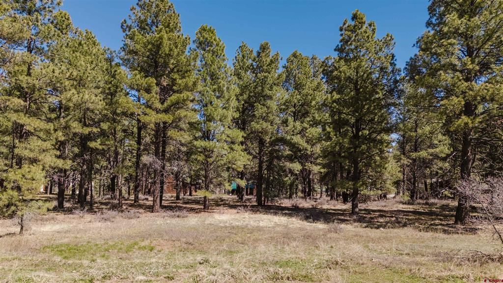 57 Martinez Place Pagosa Springs CO 81147