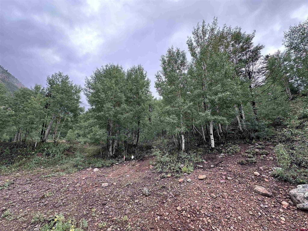 Block H 5th Street Silverton CO 81433