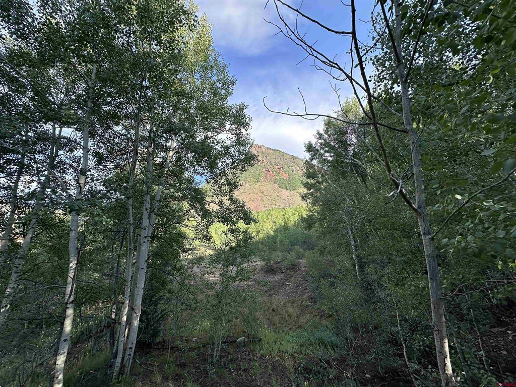 Block H 5th Street Silverton CO 81433