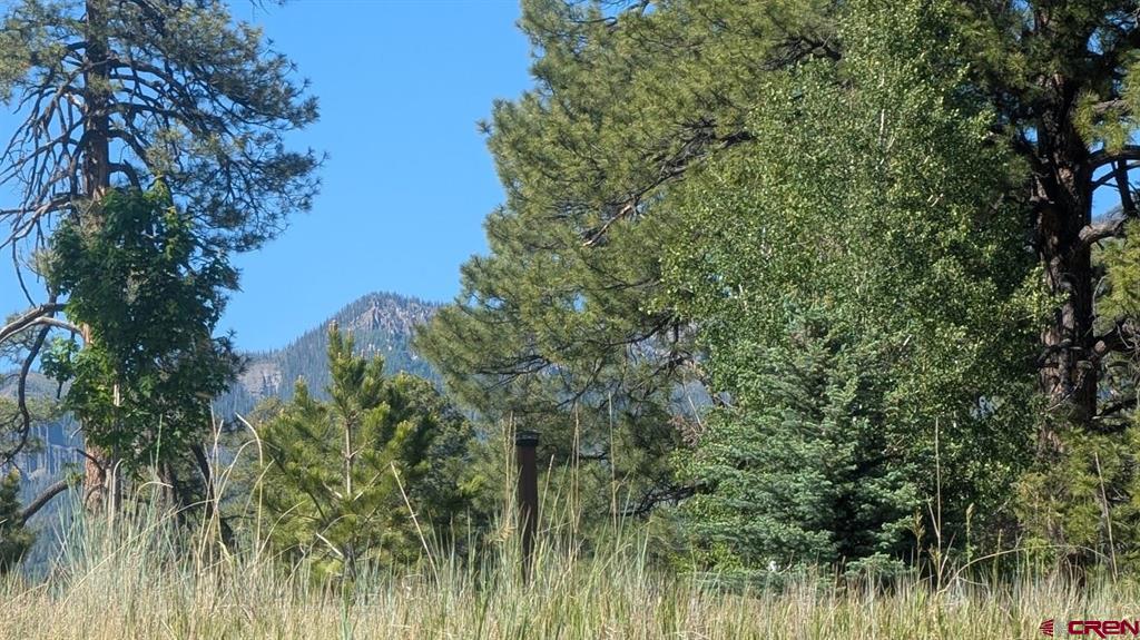 Pagosa Springs CO, 184 Clint
