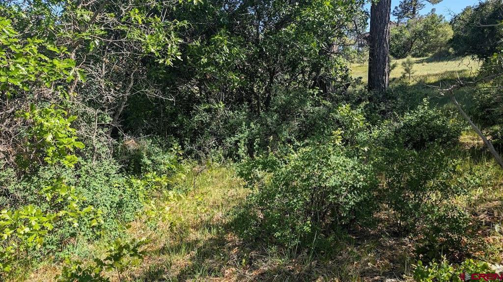 184 Clint Circle Pagosa Springs CO 81147
