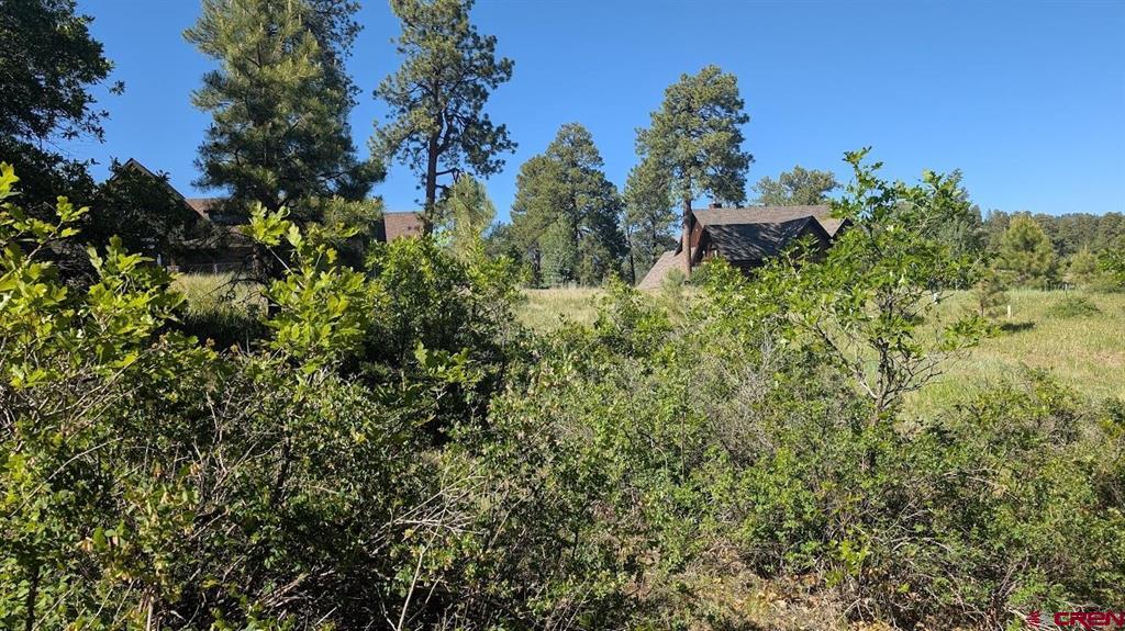 184 Clint Circle Pagosa Springs CO 81147