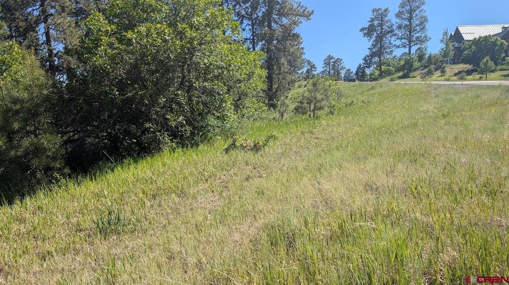 184 Clint Circle Pagosa Springs CO 81147