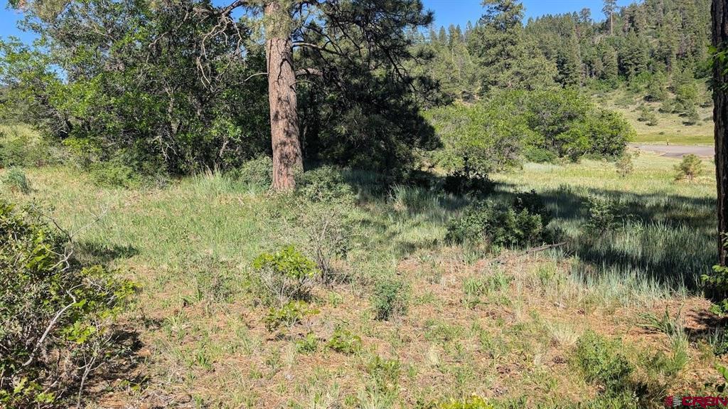 184 Clint Circle Pagosa Springs CO 81147