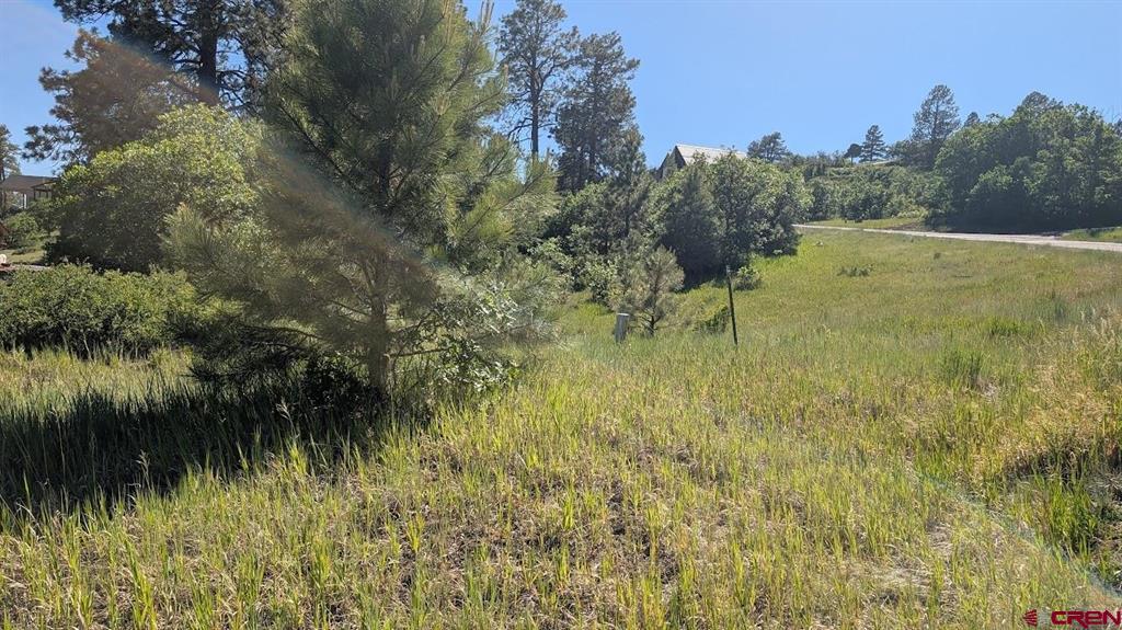 184 Clint Circle Pagosa Springs CO 81147