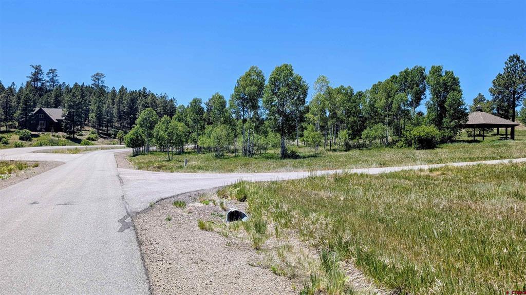 184 Clint Circle Pagosa Springs CO 81147