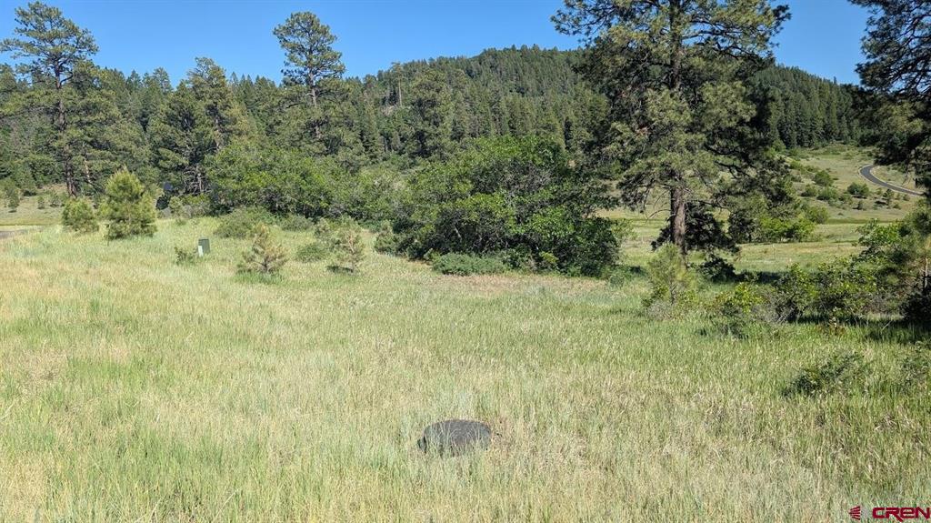 184 Clint Circle Pagosa Springs CO 81147