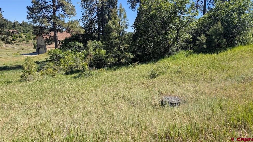 184 Clint Circle Pagosa Springs CO 81147