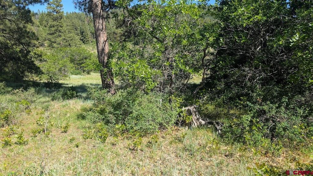 184 Clint Circle Pagosa Springs CO 81147
